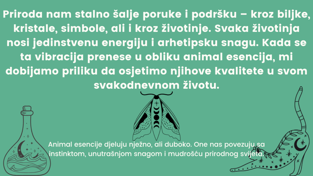 Priroda nam stalno šalje poruke i podršku – kroz biljke, kristale, simbole, ali i kroz životinje. Svaka životinja nosi jedinstvenu energiju i arhetipsku snagu. Kada se ta vibracija prenese u oblik